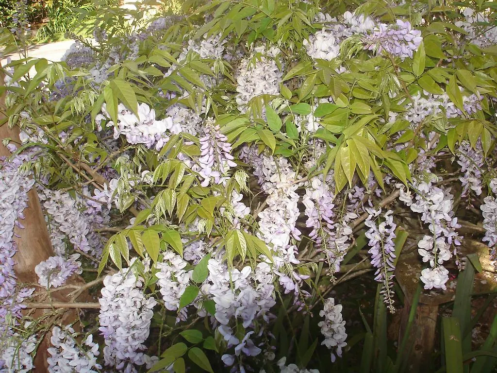 Sitio Nossa Senhora De Loreto Campos do Jordão Casa de hóspedes
