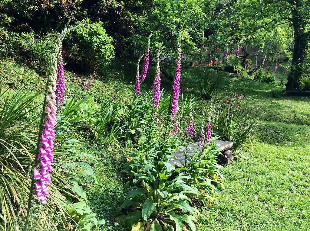 Sitio Nossa Senhora De Loreto Campos do Jordão Brazilië